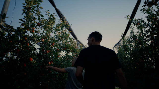 Apfel Suisse Garantie